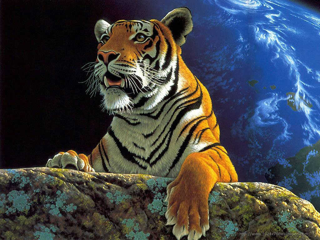 Animals - Tiger Wallpapers - 0.2 Wallpaper 1024x768